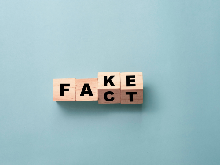 Fake/Fact aus Holzbuchstaben