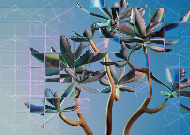Generative KI und Kreativitt: Es geht nicht darum, Menschen zu ersetzen:  Weizenbaum Institut